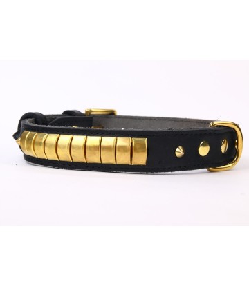 COLLAR PIEL LUXURY DISEÑO...