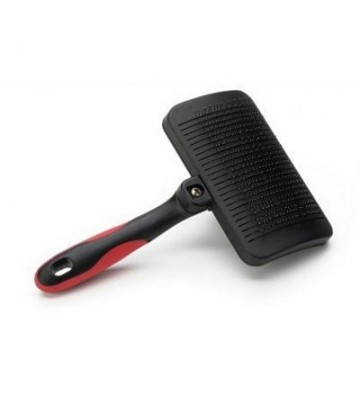 CARDA EXPULSA PELO GRANDE...