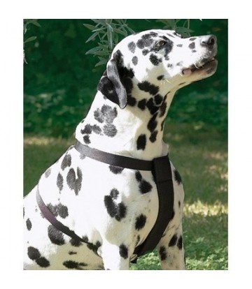 ARNES NYLON DE SEGURIDAD Y PASEO M 2