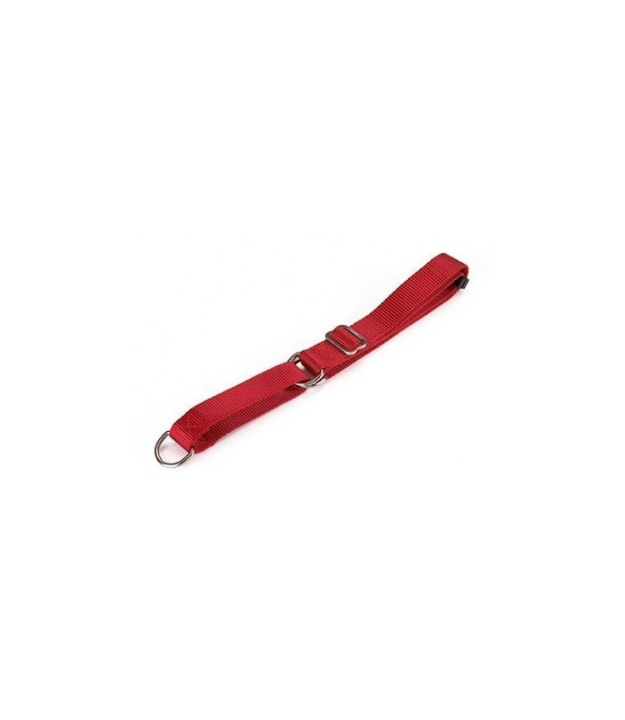 COLLAR NYLON ESTRAN 85X2.5 CM