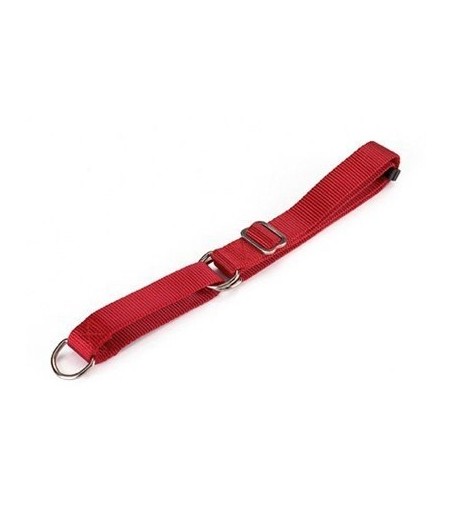 COLLAR NYLON ESTRAN 85X2.5 CM