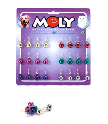 EXPO X 24 CASCABEL COLOR