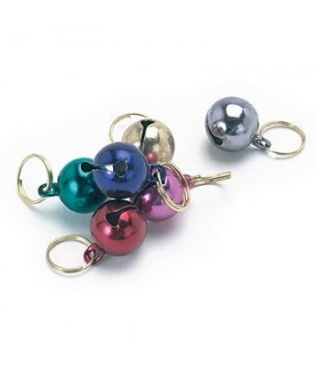 EXPO X 24 CASCABEL COLOR 2