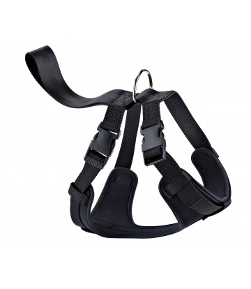 ARNES NYLON DE SEGURIDAD Y PASEO PEQUEÑO