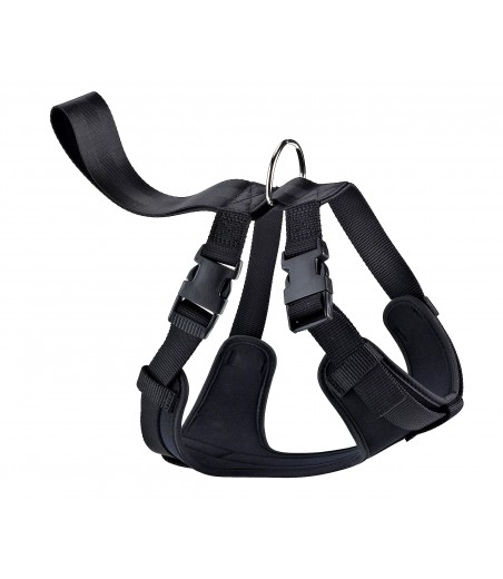 ARNES NYLON DE SEGURIDAD-PASEO EXTRA