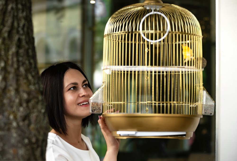 Qué comen los pájaros pequeños