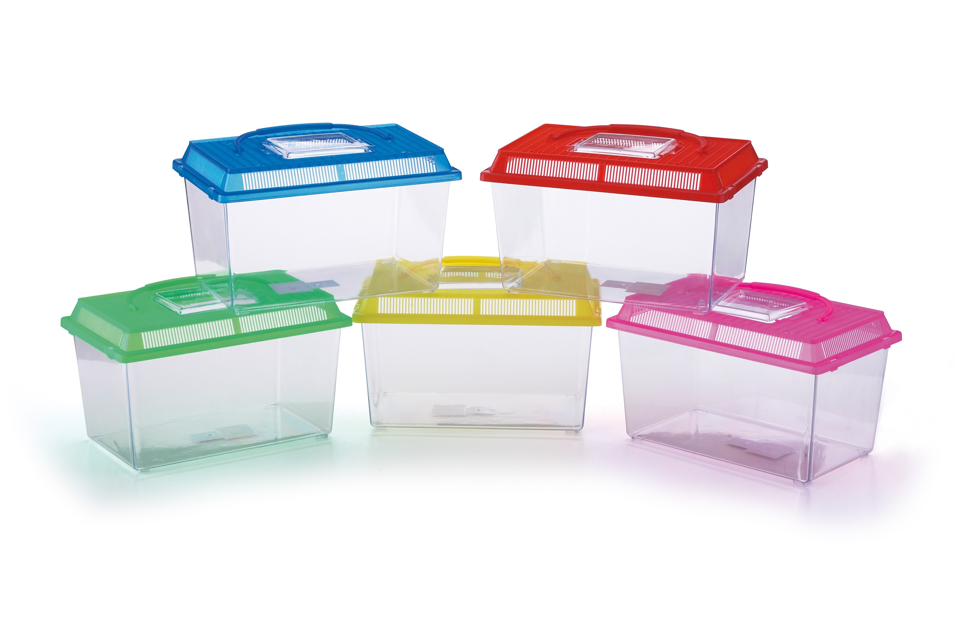 Pecera de plastico pequena