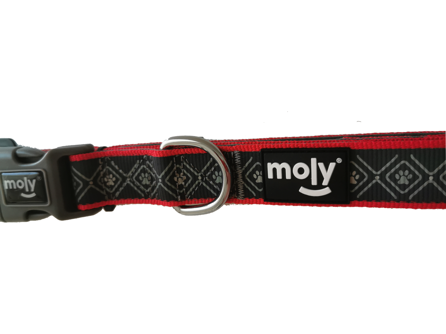 Collar moly neopreno rainbow reflect t-s