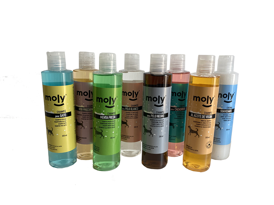 Champu menta fresh 250ml