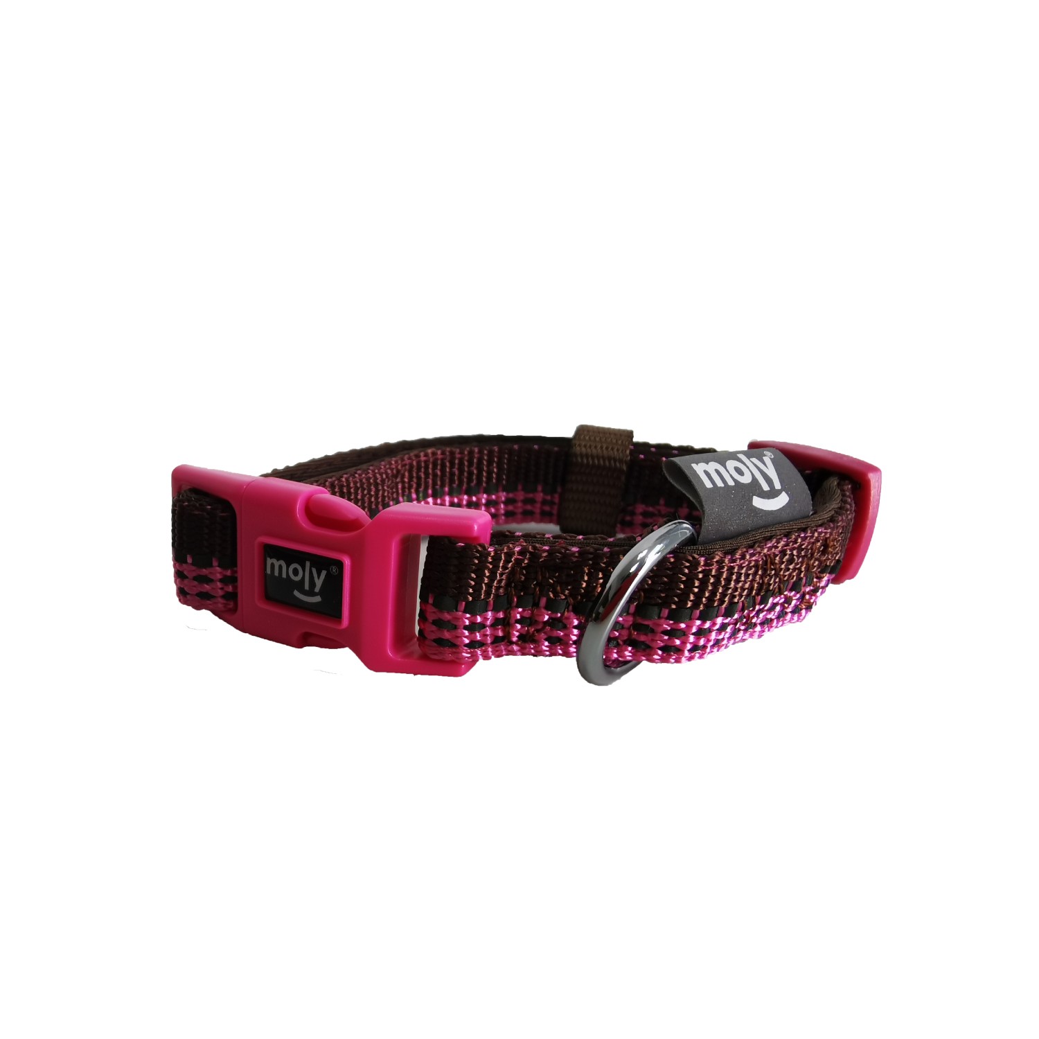 Collar para perros moly diseno exclusivo