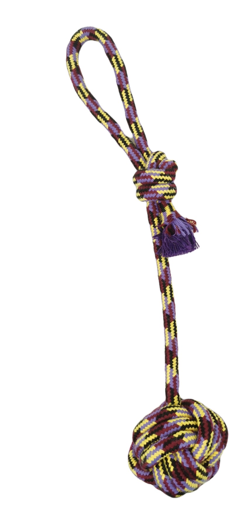 Lanzador pelota trendy