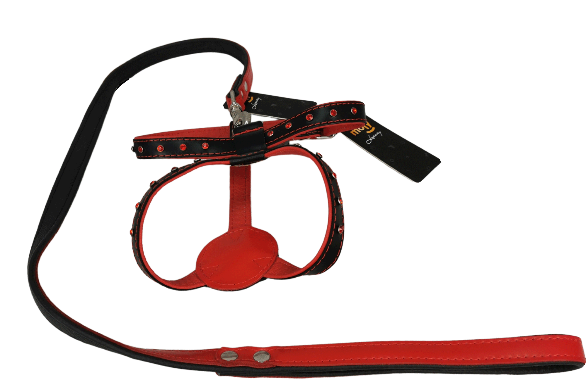 Collar para perro y ramal de piel con pedreria