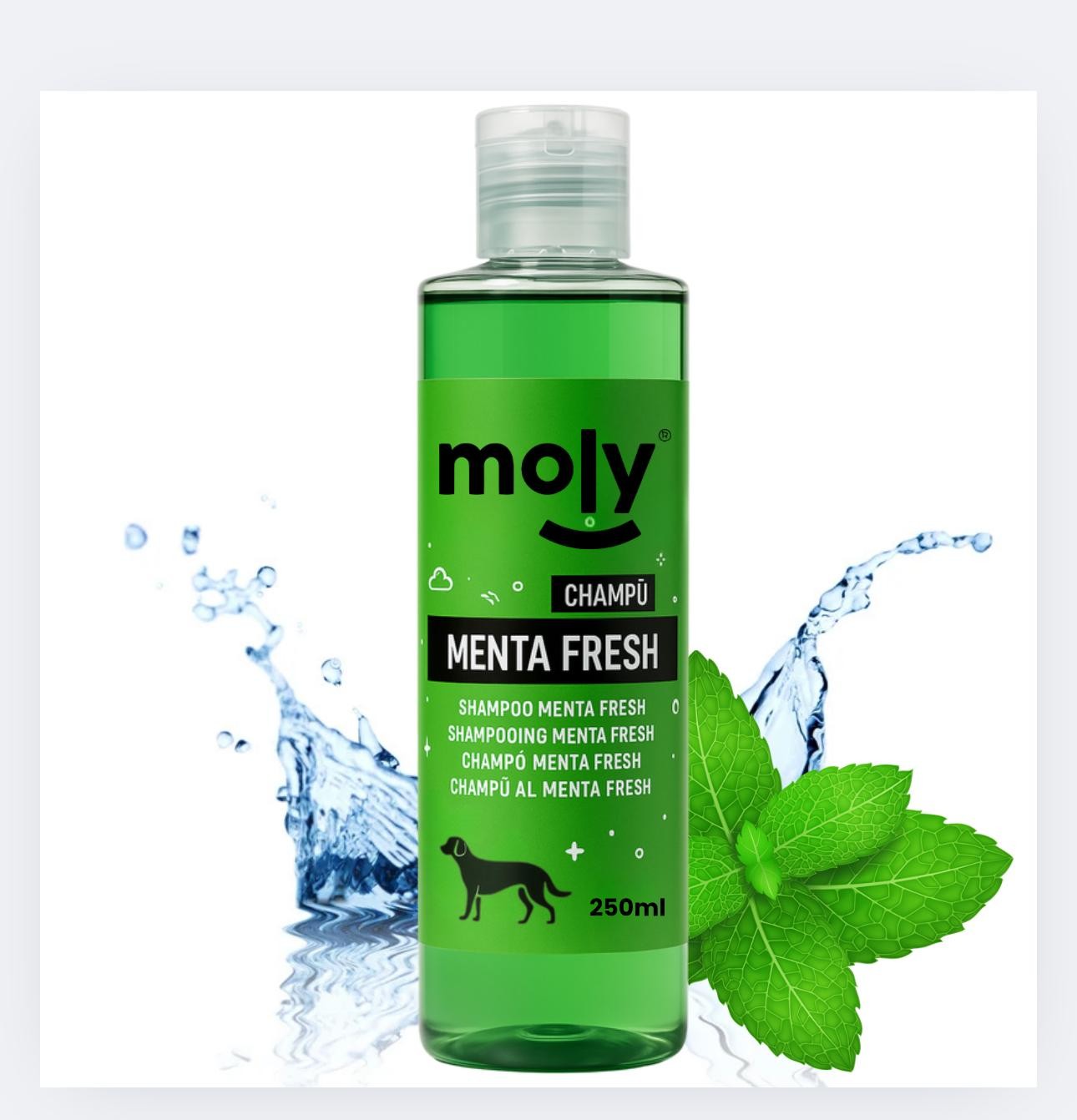 Champu menta fresh 500 ml